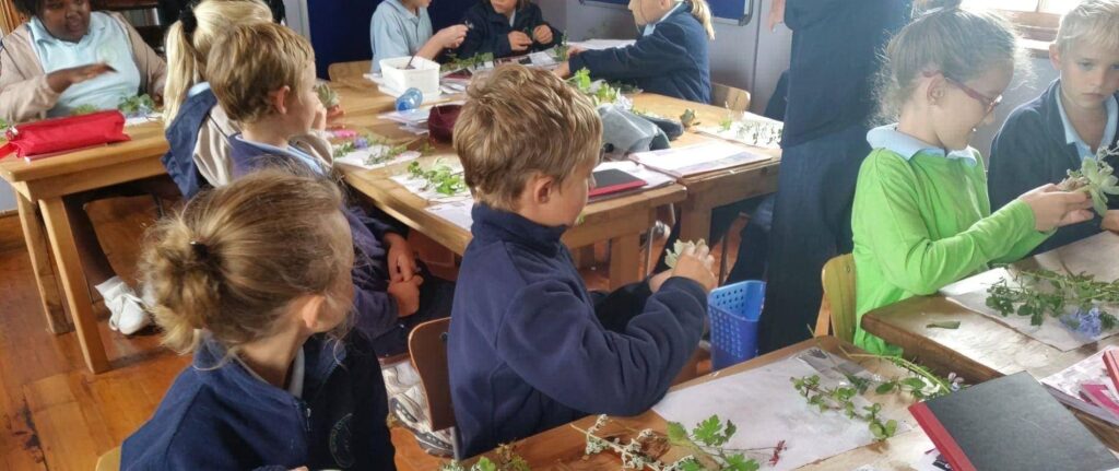 Bedford Country School Pre-School - cover image