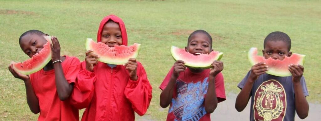 Jabulane Christian Academy Primary School - cover image