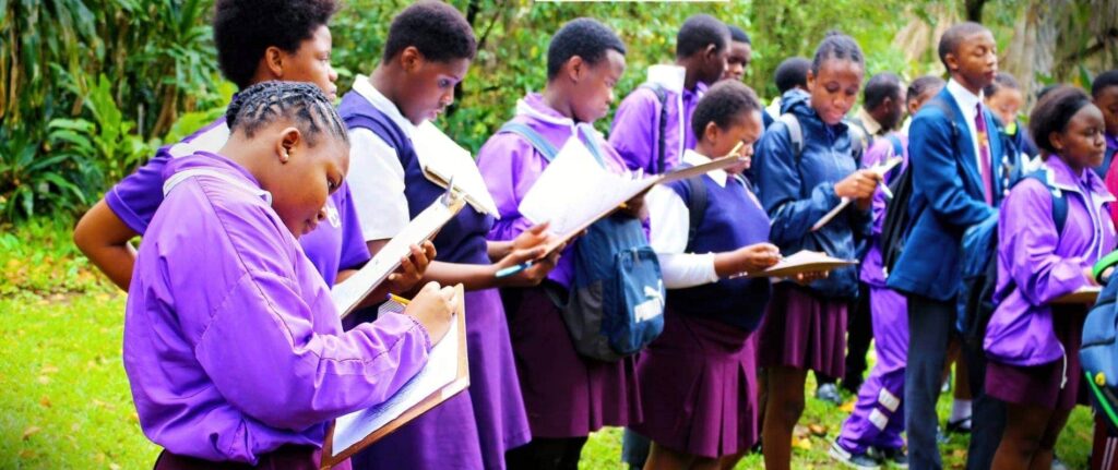 The Oasis College High School - cover image