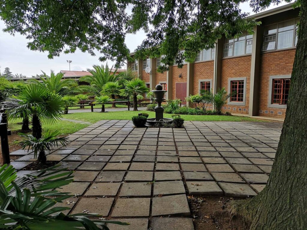 Rynfield Primary School - cover image