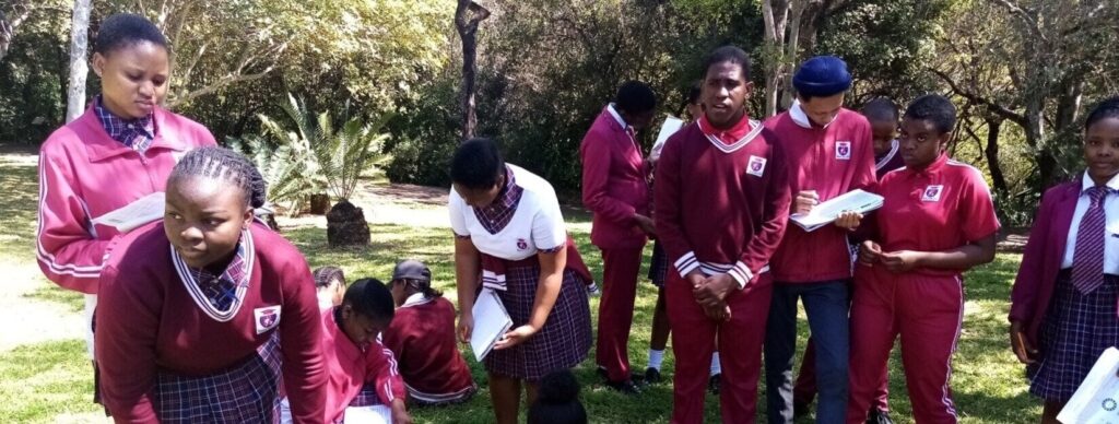 Nelspruit Private College High School - cover image