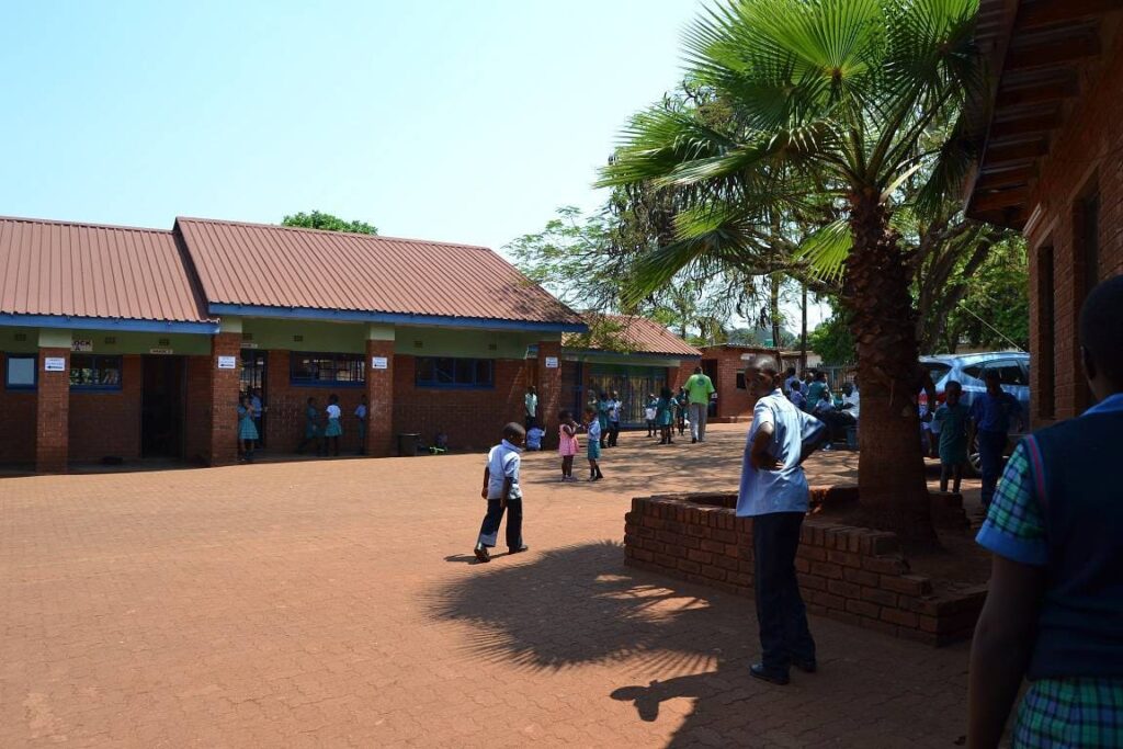 Nazarene School Of Natural Science Pre-School - cover image