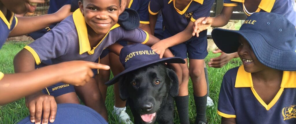 Scottsville Primary School Pre-School - cover image
