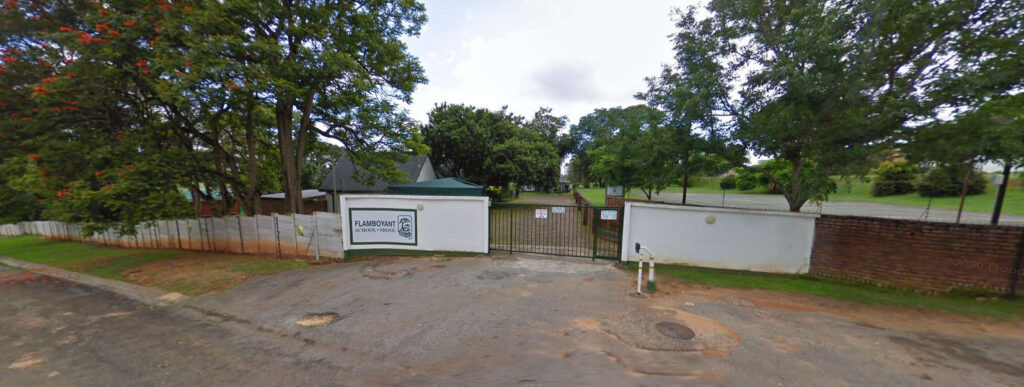 Flamboyant School High School - cover image