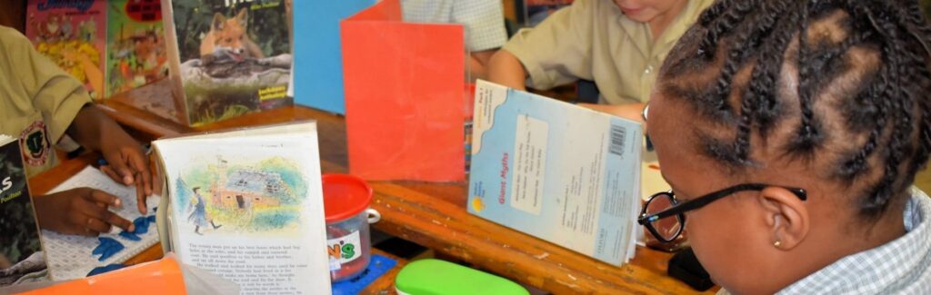 Bedfordview Primary School - cover image