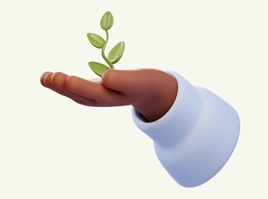Healthy hand holding a small green plant symbolizing growth and development in schools, emphasizing education quality and positive ratings for schools in South Africa.