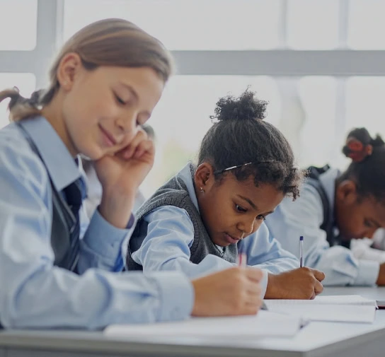 Primary schools image for regions